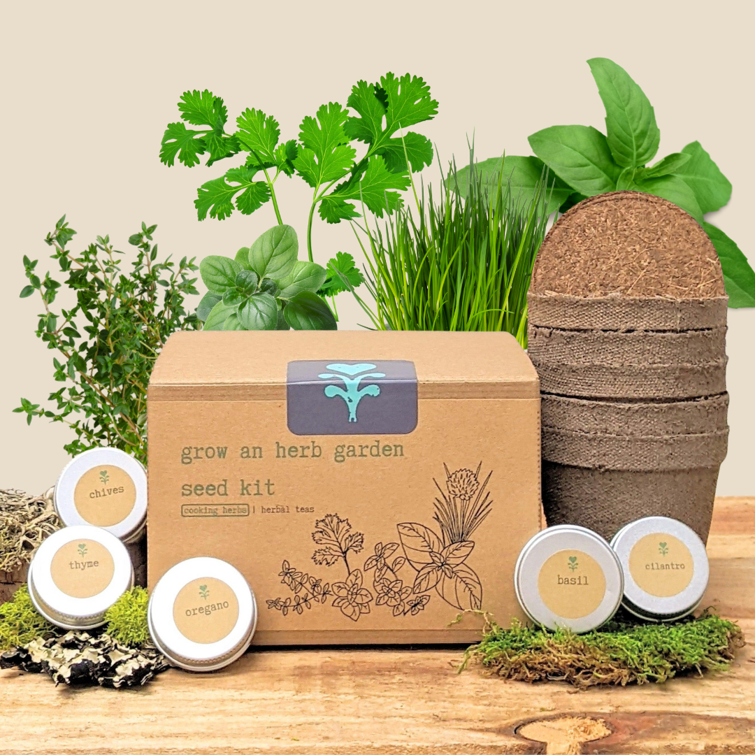 kitchen garden seeds kit Cooking Herbs Seed Kit – Ladybug's Garden Shop